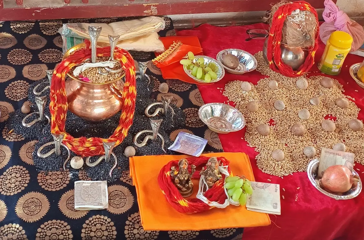 Kaal Sarp Dosh Puja in Ujjain by Ujjaini Dham